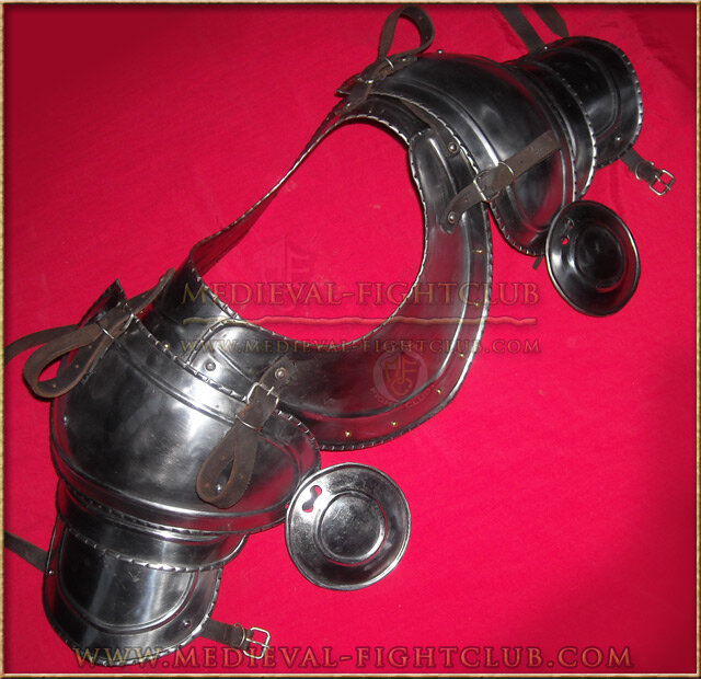 Neck guard, shoulder pauldrons and besagews