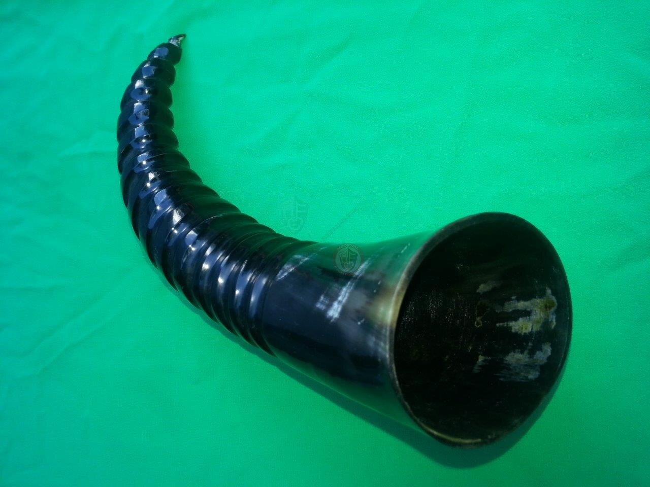 Drinking Horn - brass tribal pattern fittings